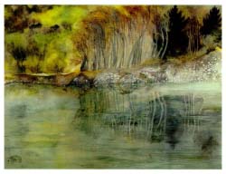 Drau Auen im Fr&uuml;hling