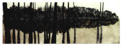 Auwald-Insel