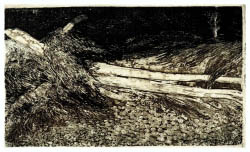 Nacktes Holz