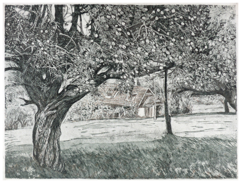 Streuobstwiese