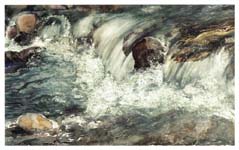 Wildwasser-Bilder