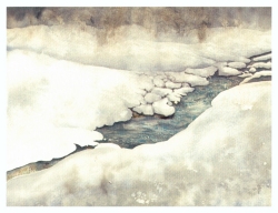 Lebendiges Juwel - Rauhreifund Schnee