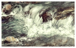 Wildes Wasser